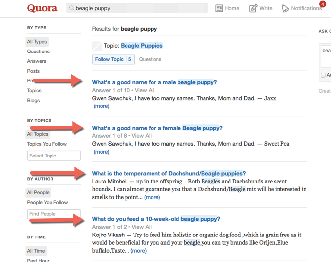 Quora - beagle puppy example for on-page SEO tactic